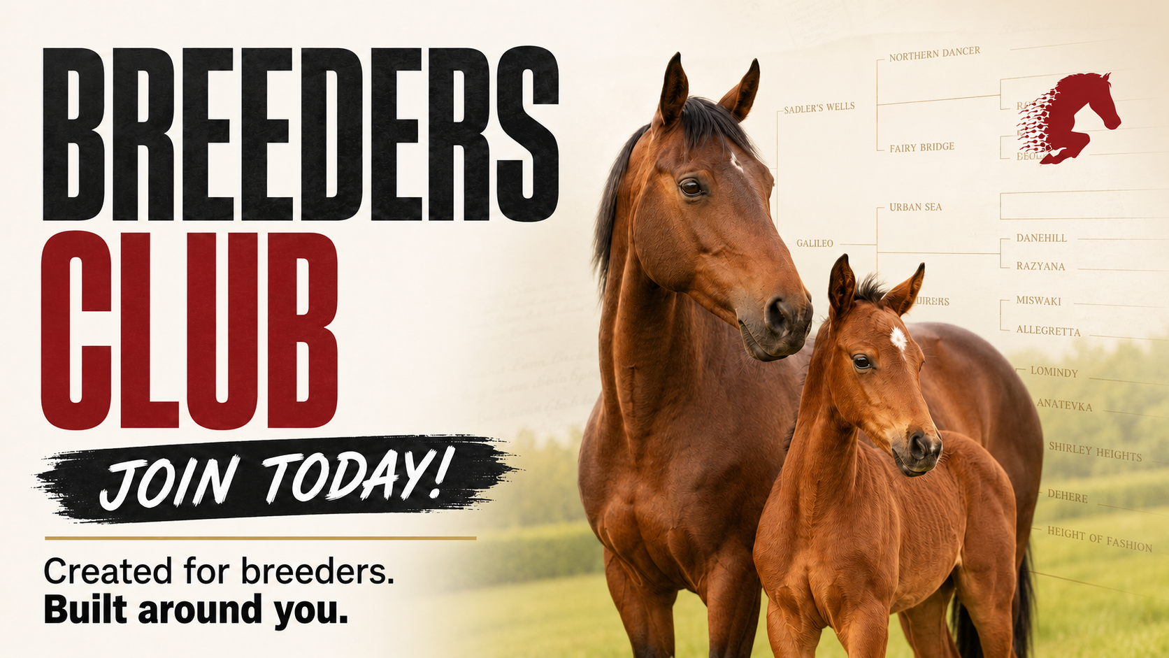 Breeders Club